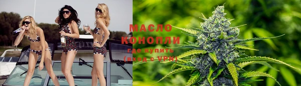 сатива Михайловка