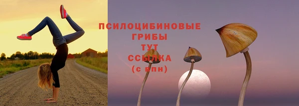 молекула духа Навашино