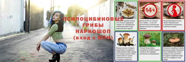 сатива Михайловка