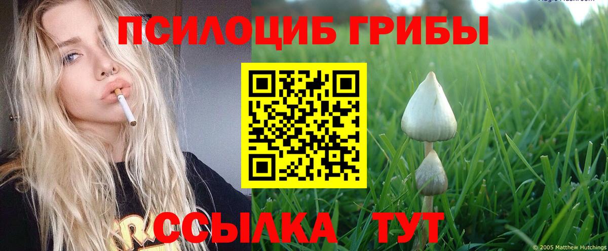 Галлюциногенные грибы прущие грибы  Псилоцибиновые грибы MAGIC MUSHROOMS  наркошоп  Чайковский 
