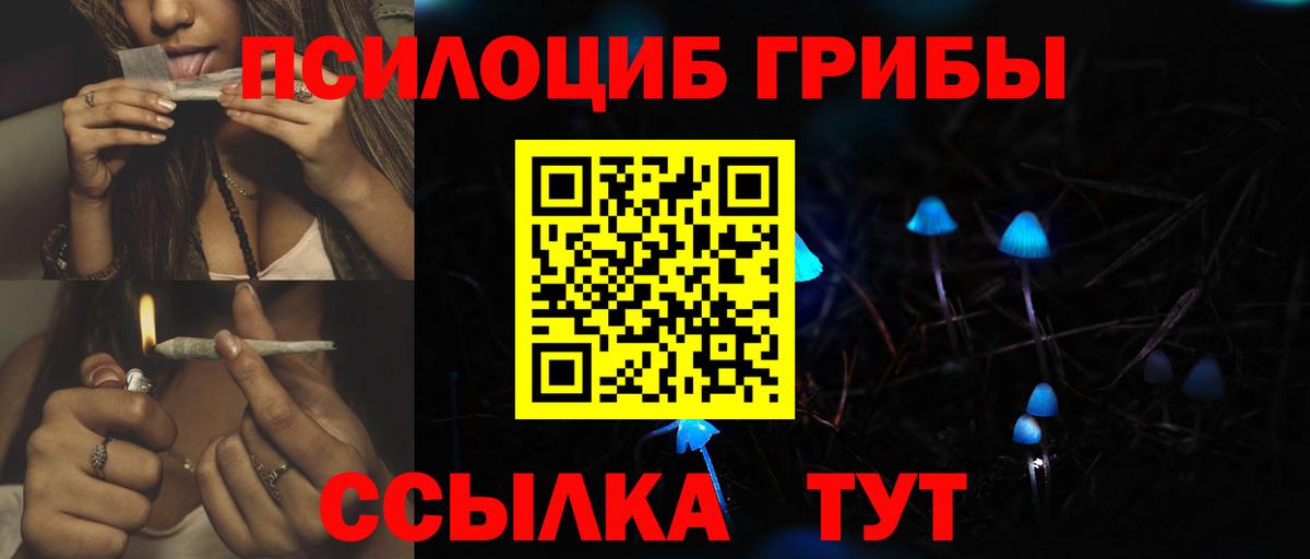 Галлюциногенные грибы GOLDEN TEACHER  Вход с VPN  Чайковский 